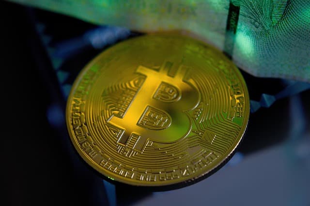 How to Earn Money on the CropBytes Virtual Farm